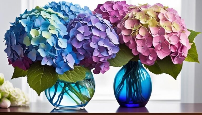 hydrangea a popular florist flower